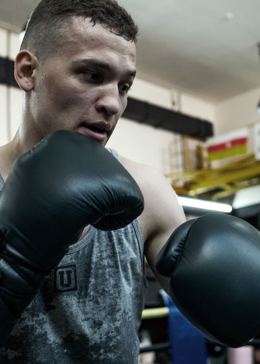 Боксерские перчатки: купить перчатки для бокса Ultimatum Boxing